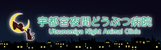 宇都宮夜間どうぶつ病院